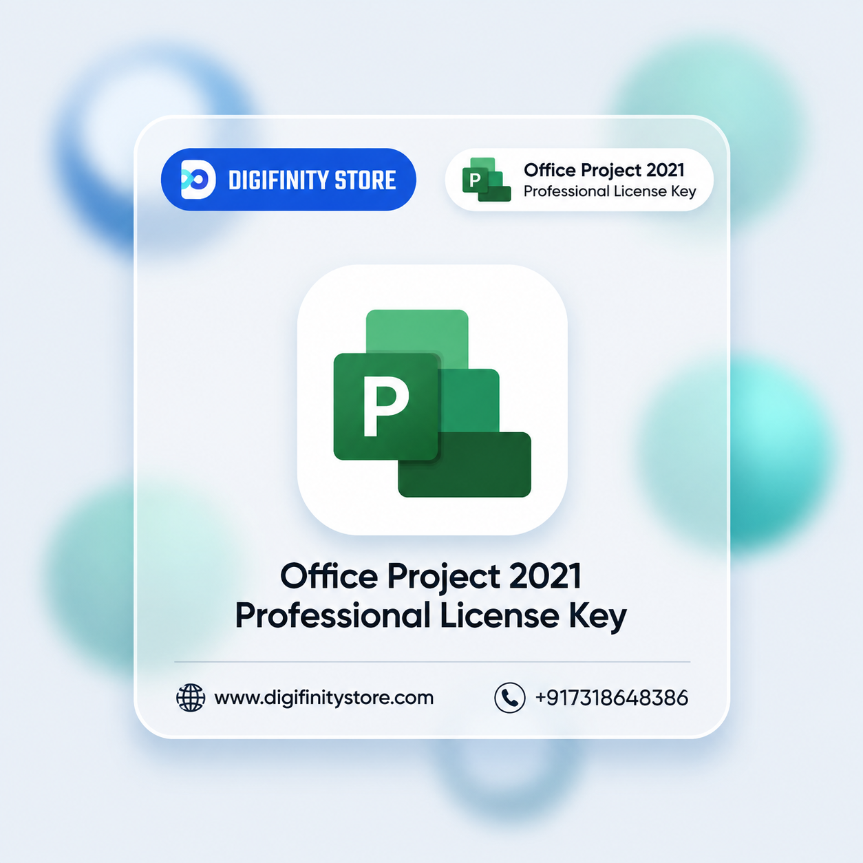 Microsoft Project 2021 Professional